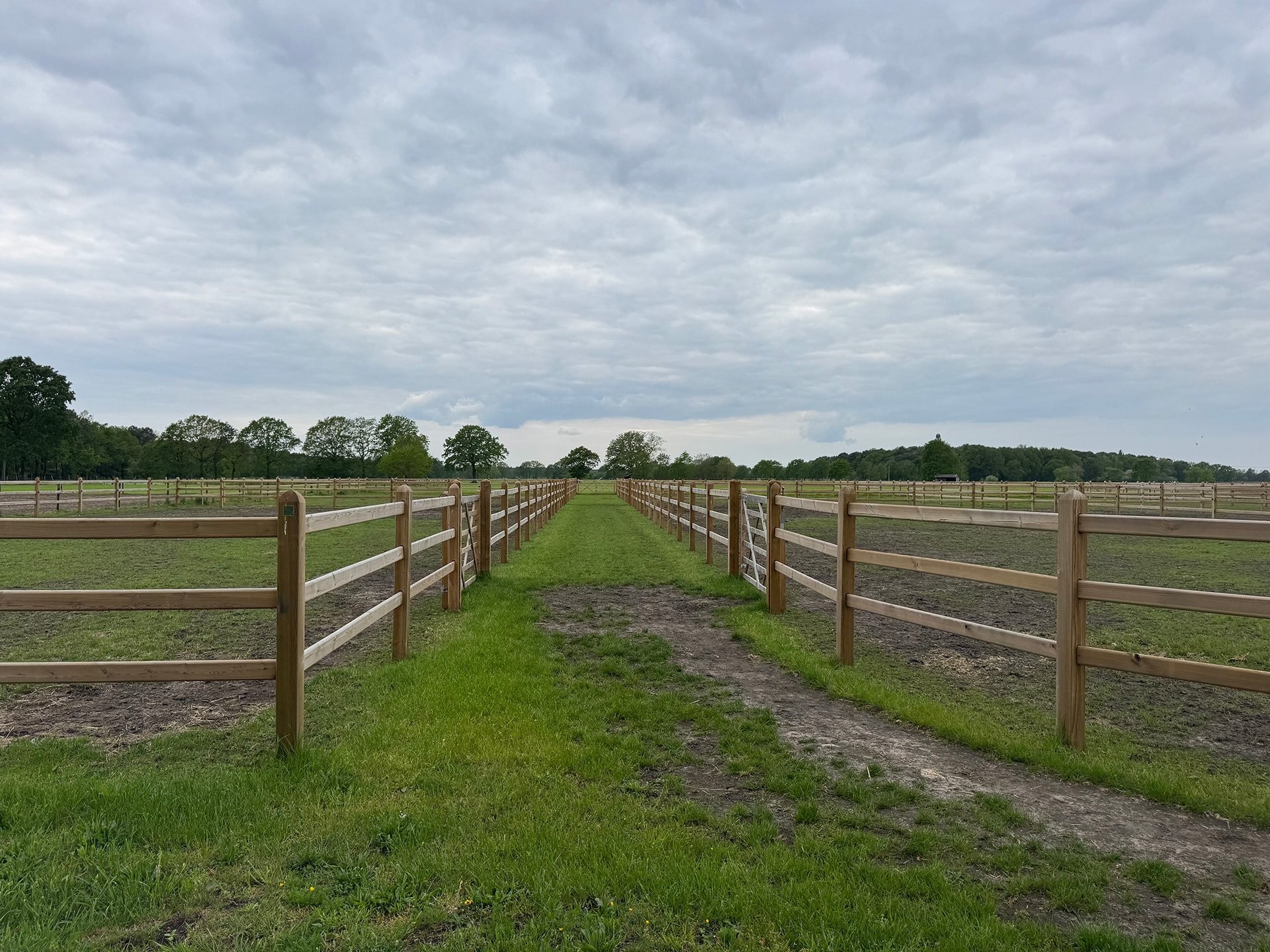 Arcadia stables 6